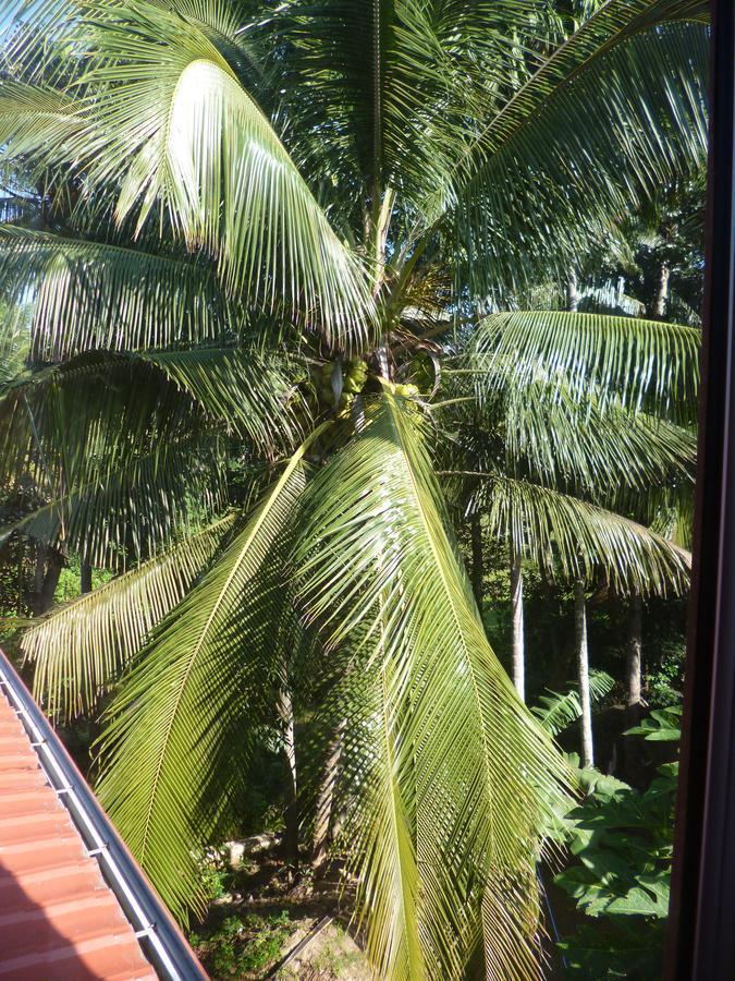 Evening Star Guest Inn Kandy Bagian luar foto